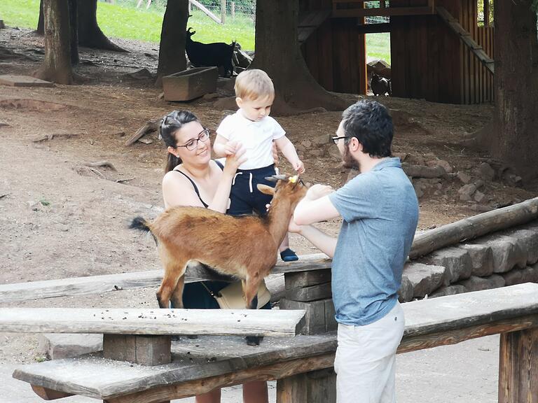 Direkter Kontakt mit Tieren ist für Familien mit Kindern immer ein besonders Erlebnis. Das Bild entstand im Wildpark in Gersfeld. Direkter Kontakt mit Tieren ist für Familien mit Kindern immer ein besonders Erlebnis. Das Bild entstand im Wildpark in Gersfeld.