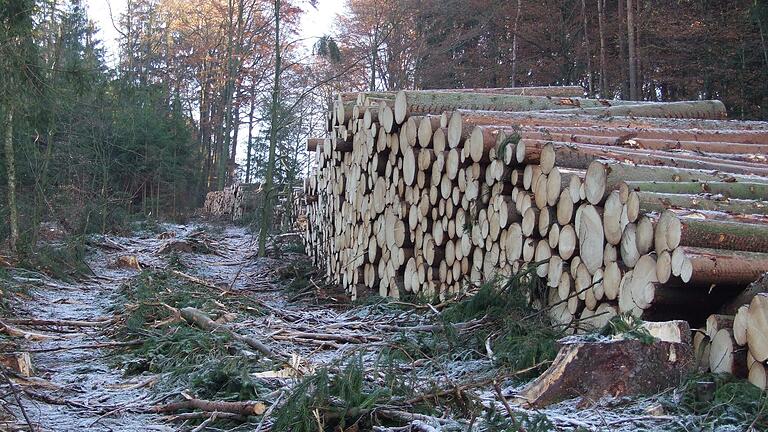 Im vergangenen Jahr wurde im Bischofsheimer Forst weniger Holz vermarktet als ursprünglich geplant. Im vergangenen Jahr wurde im Bischofsheimer Forst weniger Holz vermarktet als ursprünglich geplant.