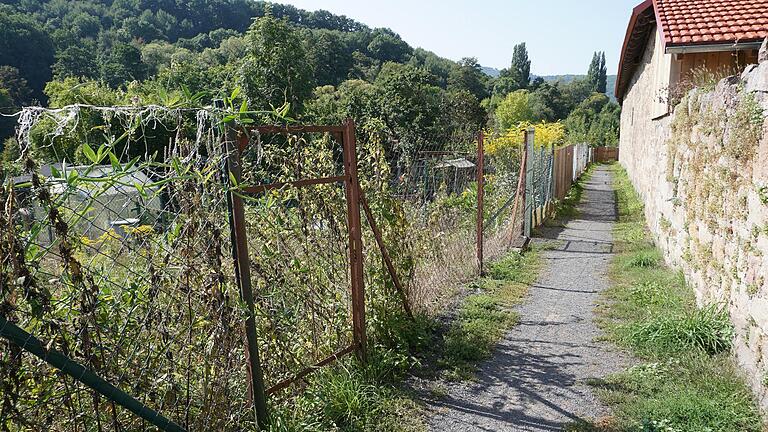 Der Weg an der Stadtmauer soll verbreitert und saniert werden. Für die Gartenbesitzer eine einmalige Chance, um kostenfrei neue Zäune zu bekommen, die sie selbst auswählen können. Der Weg an der Stadtmauer soll verbreitert und saniert werden. Für die Gartenbesitzer eine einmalige Chance, um kostenfrei neue Zäune zu bekommen, die sie selbst auswählen können.