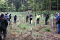 Beim Waldbegang zeigte Förster Patrick Schelbert ein Waldstück, auf dem Nadelbäume dem Borkenkäfer zum Opfer fielen. Danach wurden die besonderen Laubbäume Rotbuche und Schwarznuss gepflanzt.