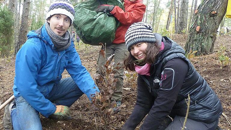 Lena, Studentin aus Würzburg und Jean Francois aus den französischen Lyon beim Einpflanzen einer Traubeneiche. Jean arbeitet in Uffenheim. Aufmerksam auf die Forstaktion wurden sie bei einem Infostand des Vereins Bergwaldprojekt in der Würzburger Innenstadt. Der 10jährige Treye sorgt stets für Nachschub an jungen Bäumchen.