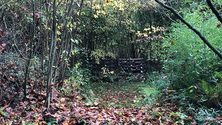 Die Gärtnerei Simon in Marktheidenfeld ist eine kleines Idyll.