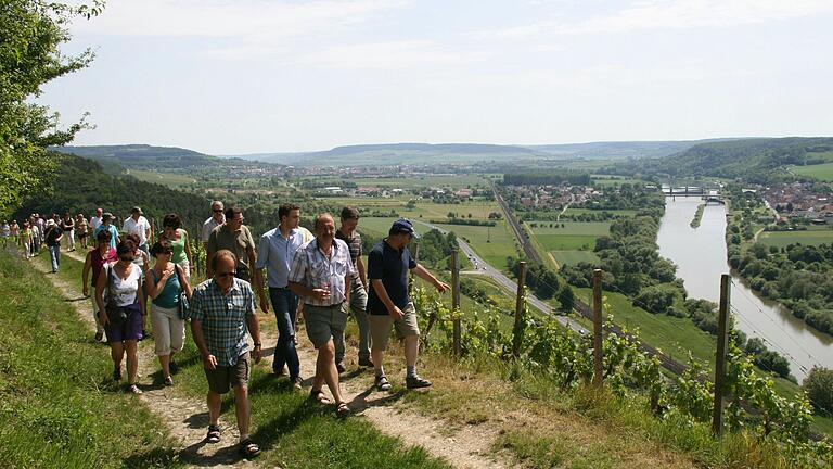 Einzigartig ist der Blick ins Maintal bei der alljährlichen Weinwanderung in Stetten. Einzigartig ist der Blick ins Maintal bei der alljährlichen Weinwanderung in Stetten.