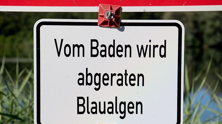 Blaualgen       -  Im Landkreis Ansbach hat das Landratsamt seine Badewarnung wegen Belastung durch Blaualgen auf vier weitere Gewässer ausgedehnt. (Symbolbild)