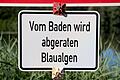 Blaualgen       -  Im Landkreis Ansbach hat das Landratsamt seine Badewarnung wegen Belastung durch Blaualgen auf vier weitere Gewässer ausgedehnt. (Symbolbild)