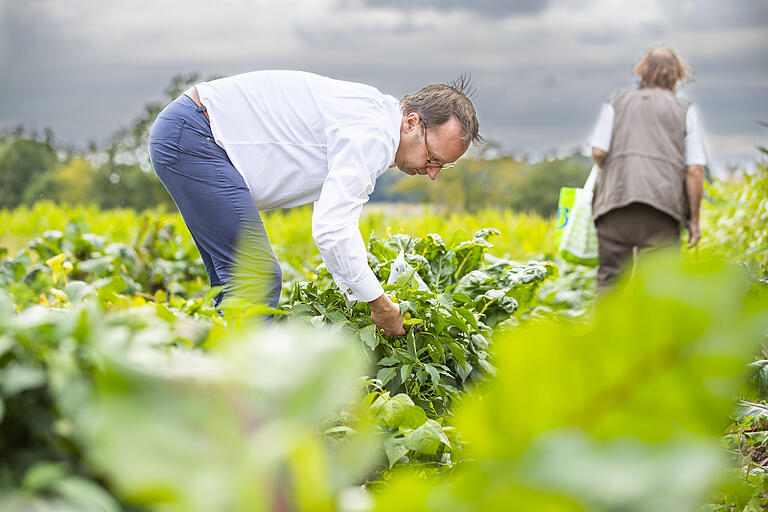 Auch wenn er an diesem Tag nicht gerade die richtige Kleidung für die Gartenarbeit trägt, packt Vereinschef Oliver Kunkel aus Zeil mit an und erntet Pfefferschoten. Auch wenn er an diesem Tag nicht gerade die richtige Kleidung für die Gartenarbeit trägt, packt Vereinschef Oliver Kunkel aus Zeil mit an und erntet Pfefferschoten.