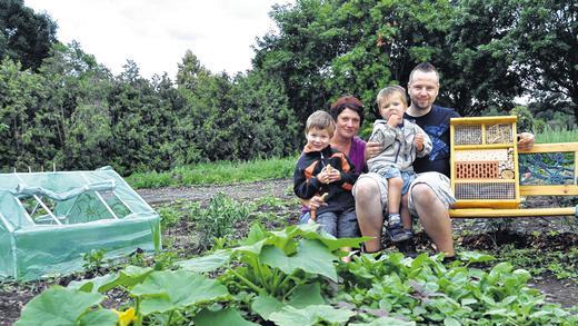 Gesät und gepflanzt: Familie Stache hat den 1000. Schweinfurter Kleingarten gepachtet. Obst und Gemüse gedeihen bereits, Zaun und die Laube, die samt Freifläche nicht größer als 24 Quadratmeter ausfallen darf, fehlen noch. Im Bild (von links): Paul, Rita, Leonard und Lars. Gesät und gepflanzt: Familie Stache hat den 1000. Schweinfurter Kleingarten gepachtet. Obst und Gemüse gedeihen bereits, Zaun und die Laube, die samt Freifläche nicht größer als 24 Quadratmeter ausfallen darf, fehlen noch. Im Bild (von links): Paul, Rita, Leonard und Lars.