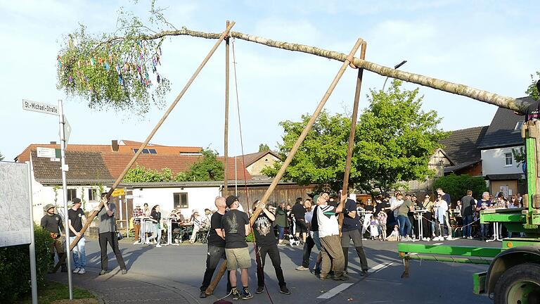 Bei bestem Frühsommerwetter stemmten die Helfer des Musikvereins Kützberg den Maibaum in die Höhe.