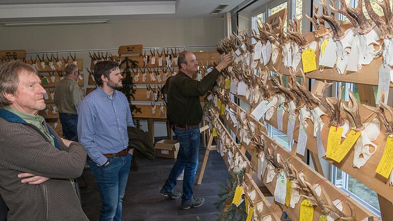 Bei der Pflichtrehwildhegeschau in Langenprozelten präsentierten die Jäger aus den fünf Hegegemeinschaften im Bereich der BJV-Kreisgruppe Gemünden ihr Jagdergebniss beim männlichen Rehwild.