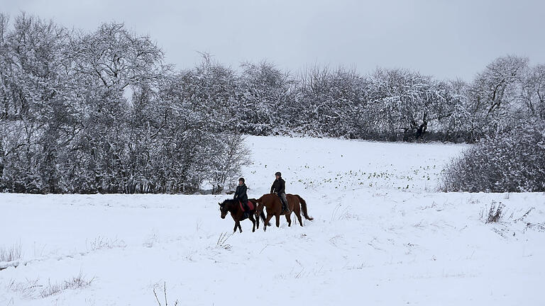 In der Winterlandschaft vom vergangenen Wochenende – wie hier bei Kirchlauter in Richtung Pettstadt – macht ein Ausritt mit den Pferden gleich doppelt Spaß.