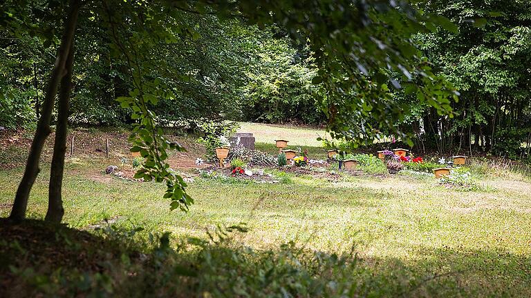 Einige Menschen wurden auf dem neuen islamischen Grabfeld auf dem Würzburger Waldfriedhof bereits bestattet. Auf der Wiese im Hintergrund ist in Zukunft Platz für rund 200 weitere Gräber.