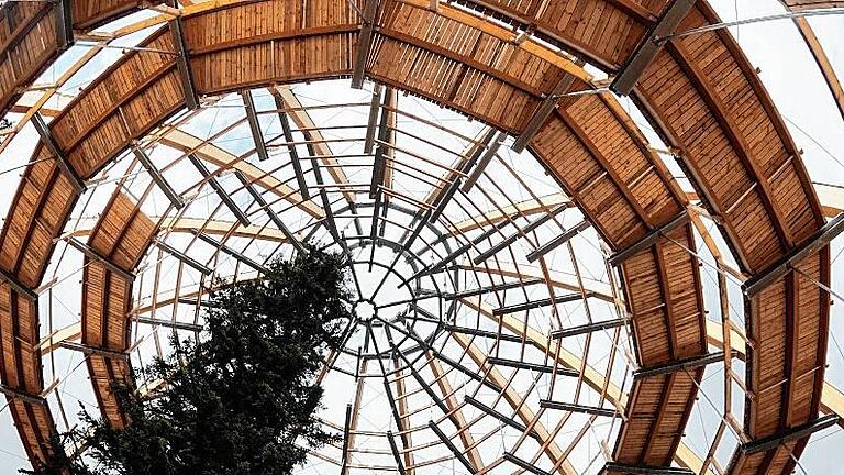 1,3 Kilometer langer Baumwipfelpfad wird eröffnet - Investition im Nationalpark: Über drei Millionen Euro hat ein Privatunternehmen in den Bau des 2009 eröffneten Baumwipfelpfades im Gebiet des Nationalparkes Bayerischer Wald investiert. Das im Bild zu sehende „Baumei“, ist einer der großen Attraktionen des Nationalparks. Dessen touristische Anziehungskraft hat sich zu einem der bedeutendsten Wirtschaftsfaktoren für die gesamte Region entwickelt. 1,3 Kilometer langer Baumwipfelpfad wird eröffnet - Investition im Nationalpark: Über drei Millionen Euro hat ein Privatunternehmen in den Bau des 2009 eröffneten Baumwipfelpfades im Gebiet des Nationalparkes Bayerischer Wald investiert. Das im Bild zu sehende „Baumei“, ist einer der großen Attraktionen des Nationalparks. Dessen touristische Anziehungskraft hat sich zu einem der bedeutendsten Wirtschaftsfaktoren für die gesamte Region entwickelt.