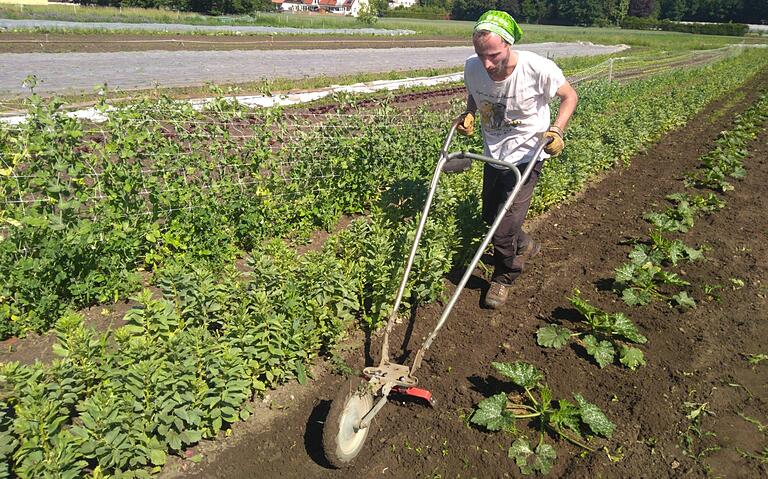 Viele Menschen haben den Bezug zur Landwirtschaft verloren. Bei Solawi-Projekten können sie direkt bei der Erzeugung dabei sein. Viele Menschen haben den Bezug zur Landwirtschaft verloren. Bei Solawi-Projekten können sie direkt bei der Erzeugung dabei sein.