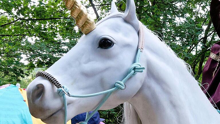 Nicht nur Rösser, Reiter und Kutschen sind beim Pferdemarkt unterwegs – auch ein Einhorn mischt heuer mit.