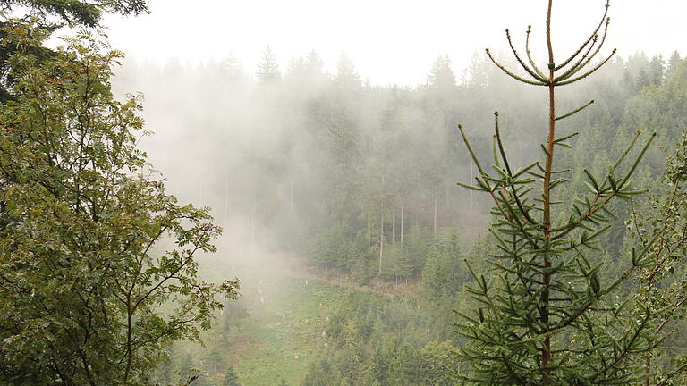 Selbst bei hellem Sonnenschein wirkt er düster, verwunschen und geheimnisvoll: der Frankenwald.