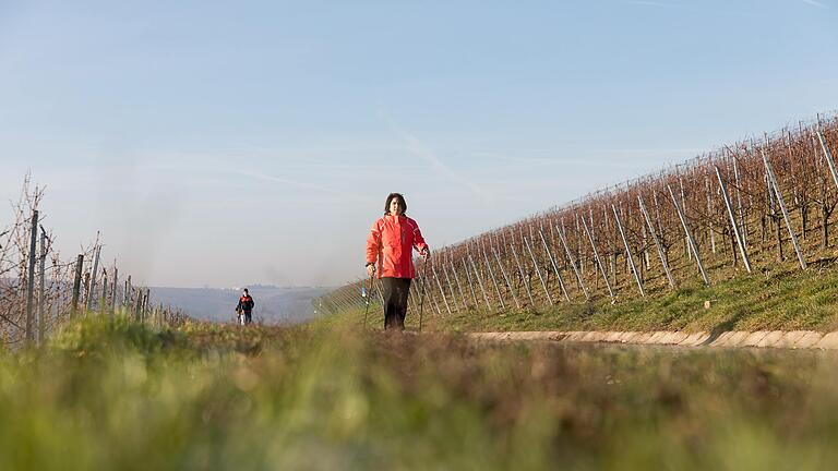 Die Weinberge in Unterfranken bieten ideale Strecken für Nordic Walking, eine gelenkschonendere Alternative zum Jogging. Die Weinberge in Unterfranken bieten ideale Strecken für Nordic Walking, eine gelenkschonendere Alternative zum Jogging.