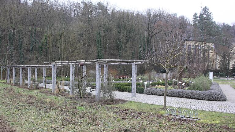 Das Konzept für die kleine Erweiterung des Retzbacher Gesundheitsgartens auf einem knapp 54 Meter langen schmalen Streifen hinter den Laubengängen steht fest: Es wird ein von Spalierobst und Obststräuchern flankierter Barfuß- und Erlebnispfad.&nbsp;