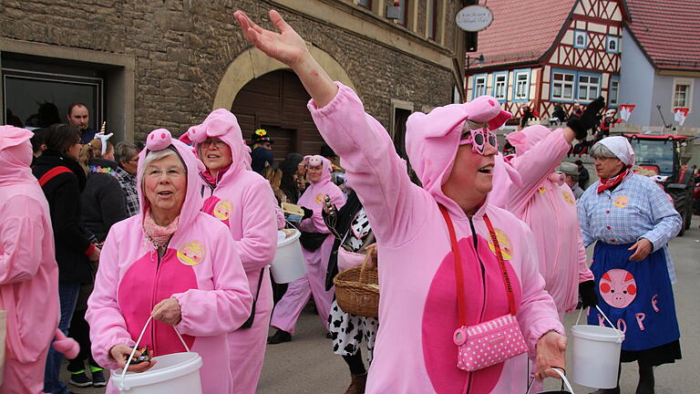 Landkreisfaschingsumzug 2018: Rund 10000 Besucher  haben den Umzug in Dettelbach mit verfolgt. 41 Gruppen haben gut eine Stunde lang für Stimmung gesorgt.