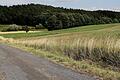 Auf dieser Fläche vor dem Wald zwischen Kirchlauter und Pettstadt soll sich die Freiflächen-Photovoltaikanlage links und rechts des Weges ausdehnen.