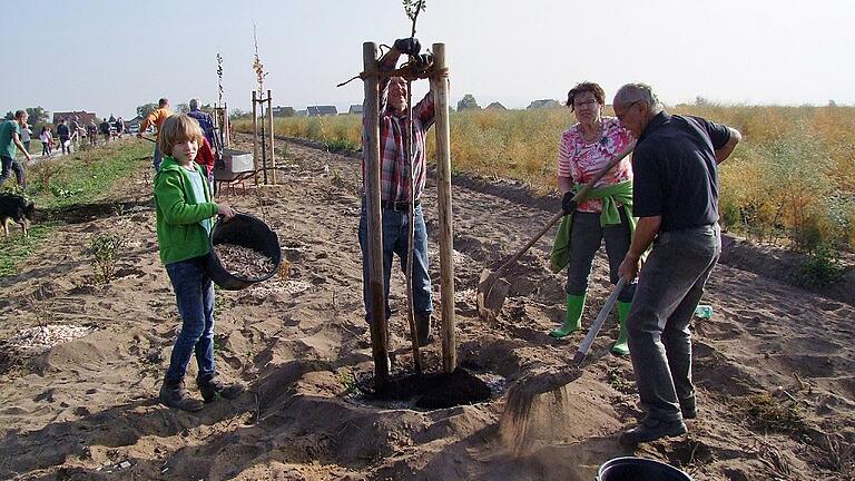 30 Schüler der Grundschule Prichsenstadt packten mit an und unterstützen mit vollem Einsatz die Erwachsenen bei der Pflanzaktion der Ortgruppe Wiesentheid des Bund Naturschutz. 30 Schüler der Grundschule Prichsenstadt packten mit an und unterstützen mit vollem Einsatz die Erwachsenen bei der Pflanzaktion der Ortgruppe Wiesentheid des Bund Naturschutz.