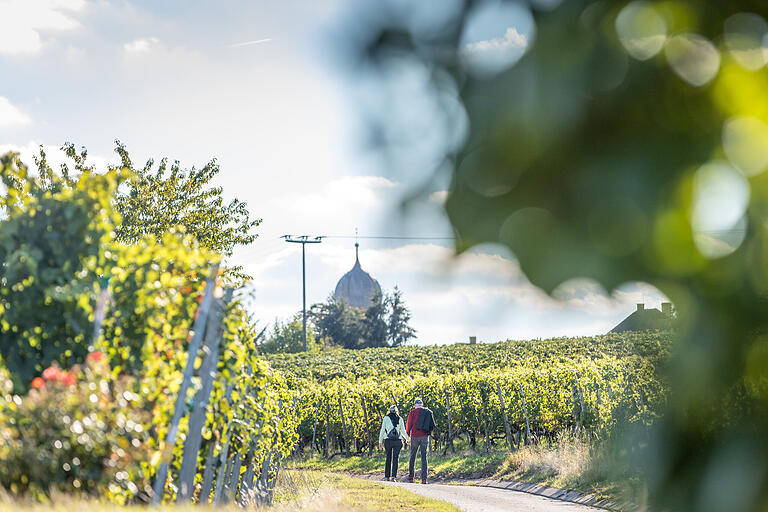 Unterwegs auf dem knapp 4 Kilometer langen Meditationspfad 'Bibel, Wein und Weisheiten' in Neuses am Berg bei Dettelbach (Lkr. Kitzingen).