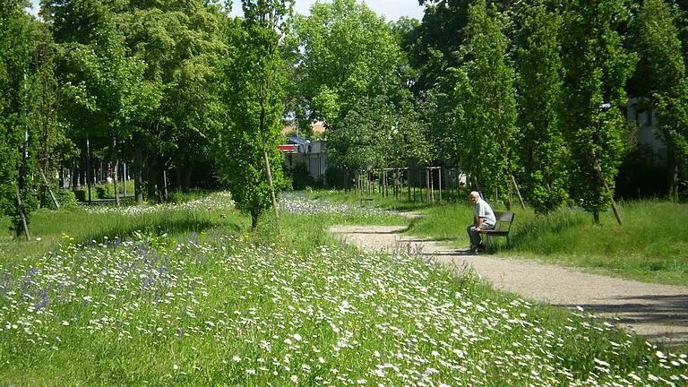 Ein Beispiel für eine blühende Wiese, die Insekten aller Art anlockt, findet sich in der Schweinfurter Hohmann-Anlage.