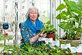 Marianne Scheu-Helgert, Leiterin der Bayerischen Gartenakademie in Veitshöchheim, erklärt, wie aus Gemüseresten auf der heimischen Fensterbank neue Lebensmittel wachsen.