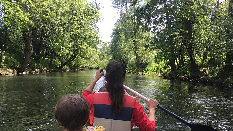 Eine Kanu-Tour auf der Fränkischen Saale bei Bad Kissingen. Das Landratsamt hat den Fluss jetzt dafür gesperrt.       -  Eine Kanu-Tour auf der Fränkischen Saale bei Bad Kissingen. Das Landratsamt hat den Fluss jetzt dafür gesperrt.