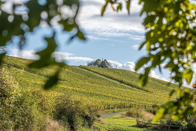 Die Tour verläuft durch die Weinlagen Oberschwarzacher Herrenberg (im Bild) und Kammerforster Teufel. Die Tour verläuft durch die Weinlagen Oberschwarzacher Herrenberg (im Bild) und Kammerforster Teufel.