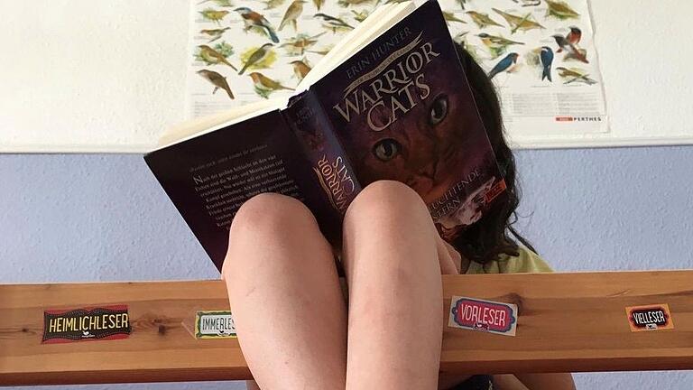Die schönsten Abenteuer lauern zwischen zwei Buchdeckeln. Wer Nachschub für Lesestoff braucht, ist in den örtlichen Bibliotheken genau richtig. Die schönsten Abenteuer lauern zwischen zwei Buchdeckeln. Wer Nachschub für Lesestoff braucht, ist in den örtlichen Bibliotheken genau richtig.