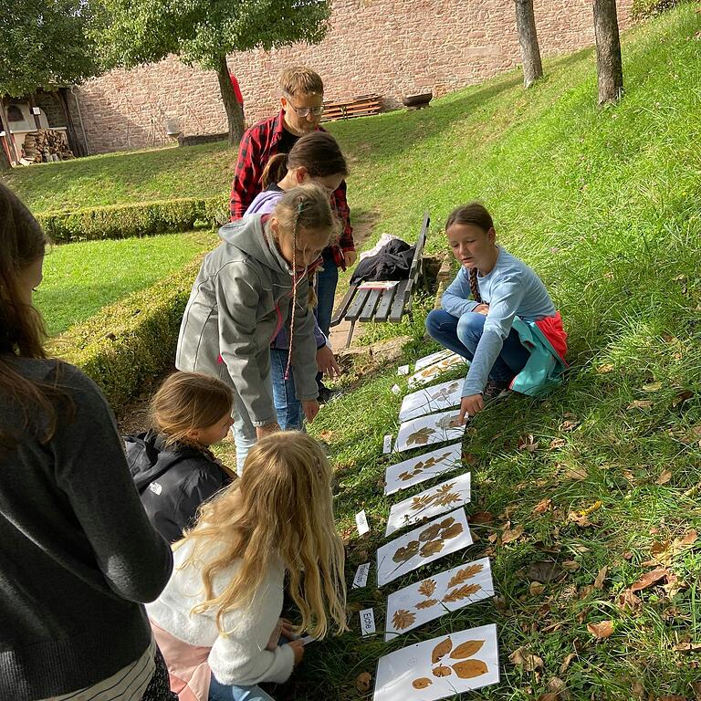 Blätter zuordnen beim Stationenspiel.