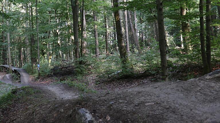 Gebaute Elemente machen den Flowtrail Kreuzberg aus. Chicken-Ways bieten die Möglichkeit die Hindernisse zu umfahren. Gebaute Elemente machen den Flowtrail Kreuzberg aus. Chicken-Ways bieten die Möglichkeit die Hindernisse zu umfahren.