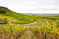 Entlang der Weinberge: Wanderung am Bullenheimer Berg.