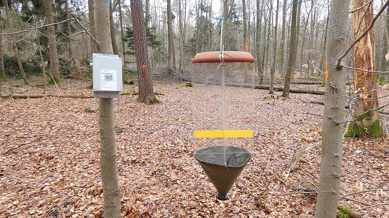 Ein autonomer Soundrekorder (links am Baum) zeichnet Naturgeräusche auf. An den Plexiglasscheiben&nbsp; bleiben Insekten hängen und fallen in den Behälter, in dem sie mit Salzwasser konserviert werden.