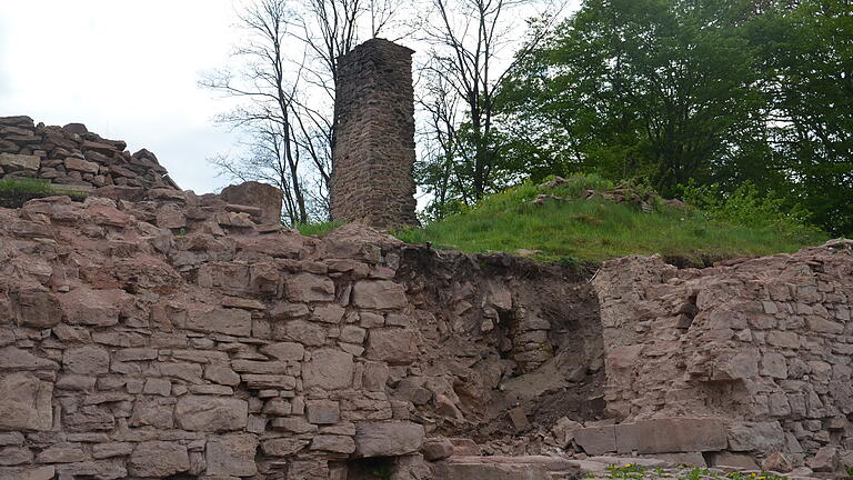 Freigelegt ist die nördliche Mauer mit dem Tor auf der Burgruine in Partenstein. Diese muss nun dringend saniert werden.