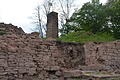 Freigelegt ist die nördliche Mauer mit dem Tor auf der Burgruine in Partenstein. Diese muss nun dringend saniert werden.