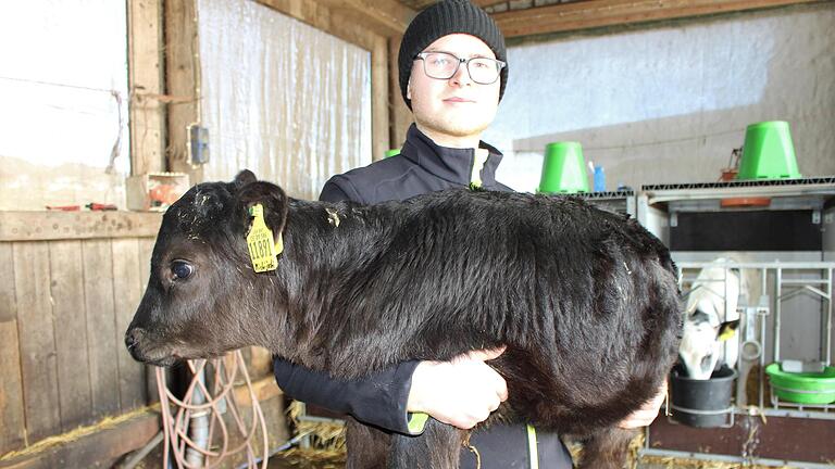 Sebastian Bausch züchtet Wagyu-Rinder als Hobby. Auf dem Arm trägt er ein 14 Tage altes Kälbchen. - Sebastian Bausch züchtet Wagyu-Rinder als Hobby. Auf dem Arm trägt er ein 14 Tage altes Kälbchen. Sebastian Bausch züchtet Wagyu-Rinder als Hobby. Auf dem Arm trägt er ein 14 Tage altes Kälbchen. - Sebastian Bausch züchtet Wagyu-Rinder als Hobby. Auf dem Arm trägt er ein 14 Tage altes Kälbchen.