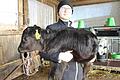 Sebastian Bausch züchtet Wagyu-Rinder als Hobby. Auf dem Arm trägt er ein 14 Tage altes Kälbchen.       -  Sebastian Bausch züchtet Wagyu-Rinder als Hobby. Auf dem Arm trägt er ein 14 Tage altes Kälbchen.
