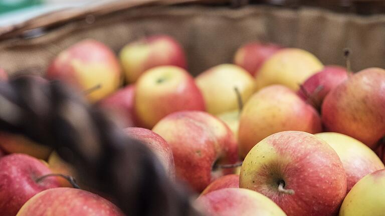 Äpfel  in einem Korb       -  Äpfel sind vielseitig: Ob für Apfelstrudel, Salate oder als frischer Snack - für jede Verwendung gibt es die passende Sorte.