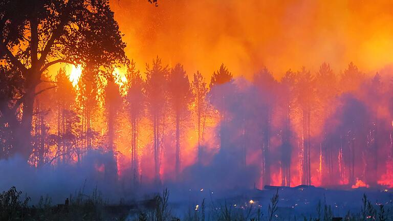 Bilder wie dieses von einem Waldbrand dieser Tage in Ungarn möchten Behörden und Feuerwehrexperten hierzulande vermeiden. Deshalb warnen sie mit dramatischen Worten vor der Feuergefahr wegen der aktuellen Hitzewelle. Bilder wie dieses von einem Waldbrand dieser Tage in Ungarn möchten Behörden und Feuerwehrexperten hierzulande vermeiden. Deshalb warnen sie mit dramatischen Worten vor der Feuergefahr wegen der aktuellen Hitzewelle.