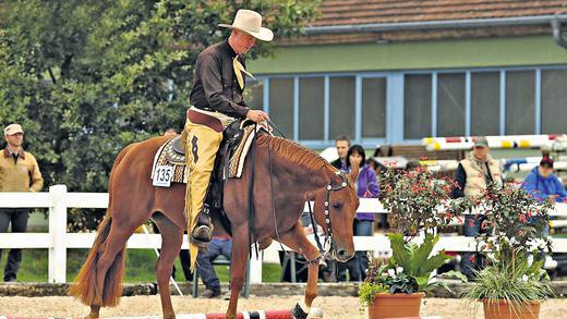 Volle Konzentration: Behutsam lässt Stefan Giesecke seinen American Quarter Horse Wallach Peps auf der German Open 2013 über die Stangen schreiten. Volle Konzentration: Behutsam lässt Stefan Giesecke seinen American Quarter Horse Wallach Peps auf der German Open 2013 über die Stangen schreiten.