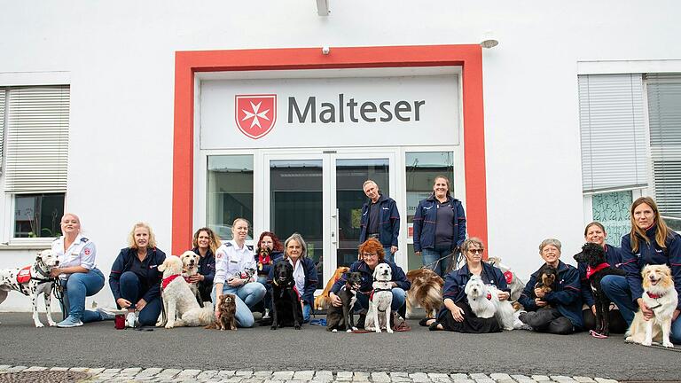 Vierzehn von insgesamt 50 Therapiebegleithunden der Würzburger Malteser mit ihren Herrchen und Frauchen. Vierzehn von insgesamt 50 Therapiebegleithunden der Würzburger Malteser mit ihren Herrchen und Frauchen. 