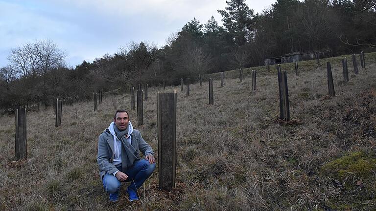 Daniel Rudolf auf seiner Trüffel-Plantage in Röttingen: Ob das Projekt erfolgreich sein wird, kann der 41-Jährige erst in einigen Jahren sagen.