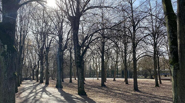 Noch herrscht am Volkacher Weinfestplatz winterliche Ruhe. Doch es gibt Ideen, wie man den Platz im Sommer gut nutzen kann, trotz Corona-Auflagen. Tourismus-Chef Marco Maiberger hat mit seinem Team bereits einen Plan B für das Fränkische Weinfest vorbereitet. Eine Wiederholung soll es dort zudem für den Kabarett Sommer geben. Noch herrscht am Volkacher Weinfestplatz winterliche Ruhe. Doch es gibt Ideen, wie man den Platz im Sommer gut nutzen kann, trotz Corona-Auflagen. Tourismus-Chef Marco Maiberger hat mit seinem Team bereits einen Plan B für das Fränkische Weinfest vorbereitet. Eine Wiederholung soll es dort zudem für den Kabarett Sommer geben.