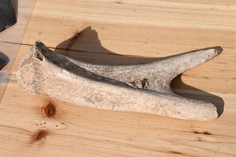 Bisher das größte Fundstück war ein Stück von einem Geweih, wahrscheinlich ein Hirsch aus der Jungsteinzeit. Bisher das größte Fundstück war ein Stück von einem Geweih, wahrscheinlich ein Hirsch aus der Jungsteinzeit.
