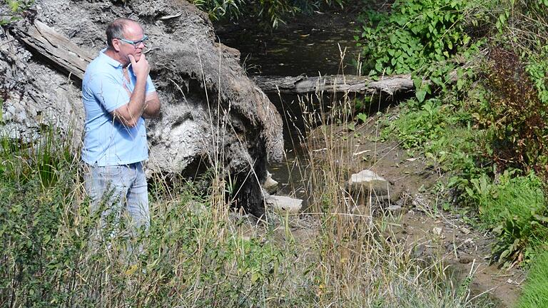 Der Aalbach bei Kleineibstadt. Hier steht normalerweise das Wasser bis zu einem Meter im Bachbett. Jetzt ist nur noch ein Rinnsal zu erkennen, sagt Bad Königshofens Wassermeister Michael Müller.