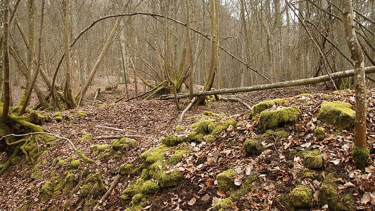 Ruine Steineck Roth Steinach - Von der Burg Steineck bei Steinach/Roth ist nur noch wenig übrig. Ruine Steineck Roth Steinach - Von der Burg Steineck bei Steinach/Roth ist nur noch wenig übrig.