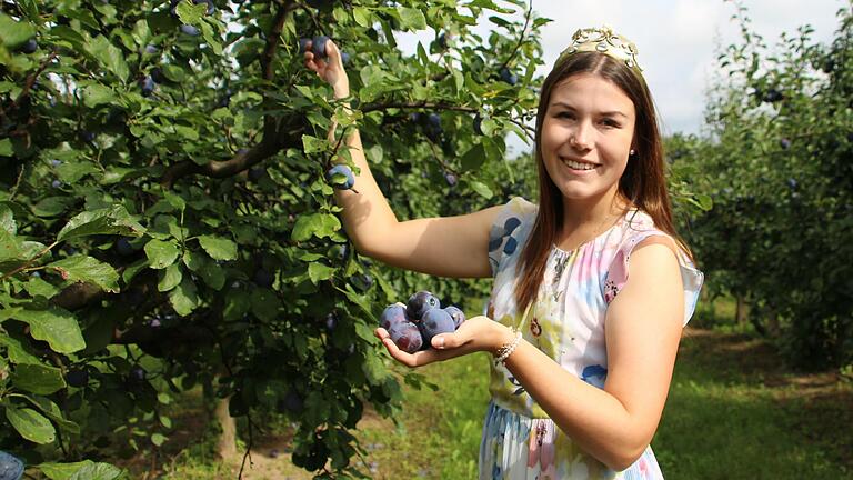 Die Zwetschge soll ein Premium-Produkt in Franken werden. Die Fränkische Weinkönigin Carolin Meyer hat sich von der Vielfalt der blauen Frucht überzeugt.