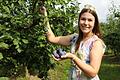 Die Zwetschge soll ein Premium-Produkt in Franken werden. Die Fränkische Weinkönigin Carolin Meyer hat sich von der Vielfalt der blauen Frucht überzeugt.