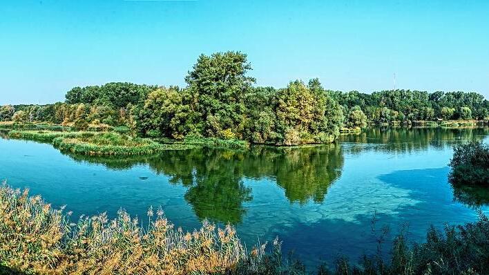 Die Seen-, Schilf- und Gebüschlandschaft der Garstadter Seen (Lkr. Schweinfurt) lockt Vogelfreunde aus ganz Deutschland an. Der Rundweg gewährt viele Einblicke, der Aussichtsturm gibt einen Überblick.